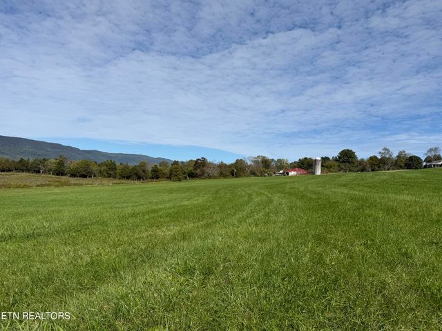 Tower St, Harrogate, TN 37752