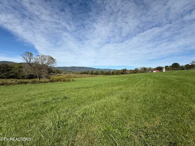 Tower St, Harrogate, TN 37752