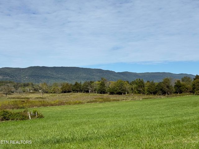 Tower St, Harrogate, TN 37752