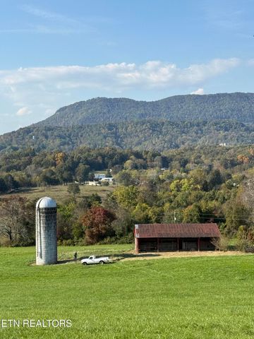 Tower St, Harrogate, TN 37752