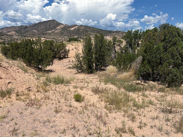 Block: 24 Lot 19 Cottonwood ln, Abiquiu, NM 87510