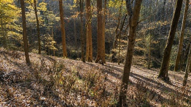0 Lake View Dr, Smithville, TN 37166