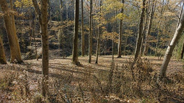 0 Lake View Dr, Smithville, TN 37166