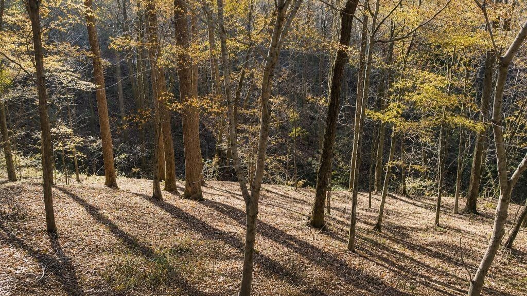0 Lake View Dr, Smithville, TN 37166