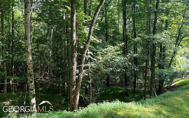 LOT 40 Double Knobs, Hayesville, NC 28904