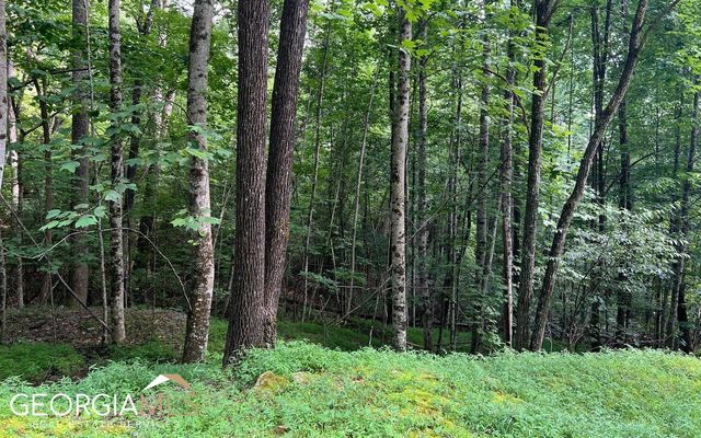 LOT 40 Double Knobs, Hayesville, NC 28904