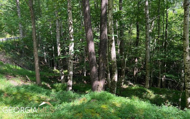 LOT 40 Double Knobs, Hayesville, NC 28904