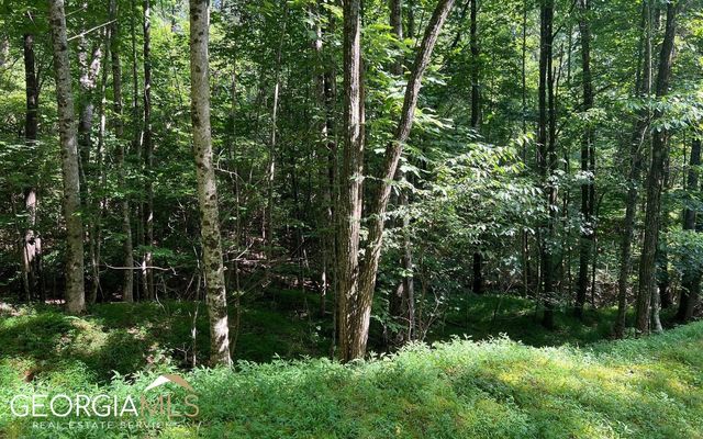 LOT 40 Double Knobs, Hayesville, NC 28904