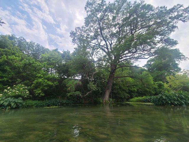 332 River Ranch CIR, Martindale, TX 78655