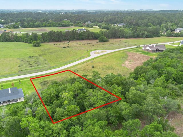 9601 Cedar Creek Lane, Plantersville, TX 77363