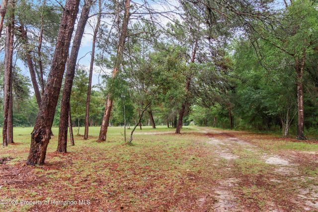 16295 Hibiscus Road, Brooksville, FL 34601