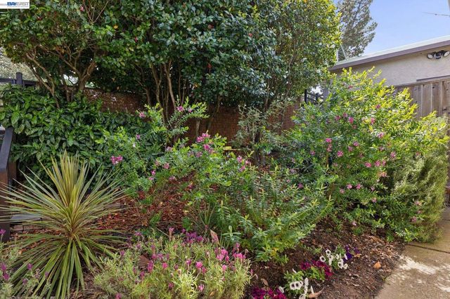 55 Asilomar Cir, Oakland, CA 94611