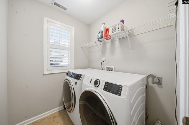 112 Rum Gully Lane, Chapin, SC 29036