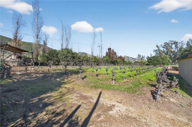 31420 Palm Avenue, Hemet, CA 92543