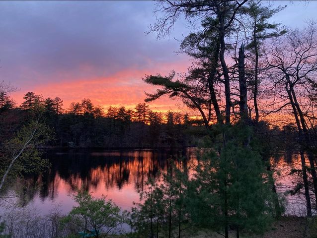 91 Sebbins Pond Drive, Bedford, NH 03110