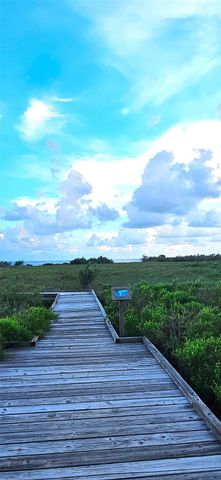 000 Jean Lafitte Drive, Freeport, TX 77541