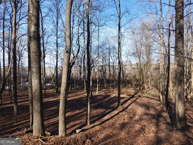 109 Leianne Drive, Griffin, GA 30223