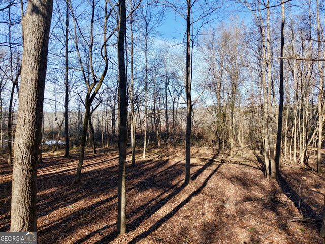 109 Leianne Drive, Griffin, GA 30223