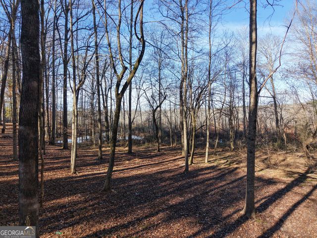 109 Leianne Drive, Griffin, GA 30223