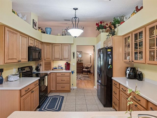 21533 KING HENRY AVENUE, Leesburg, FL 34748