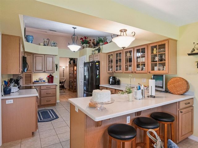 21533 KING HENRY AVENUE, Leesburg, FL 34748