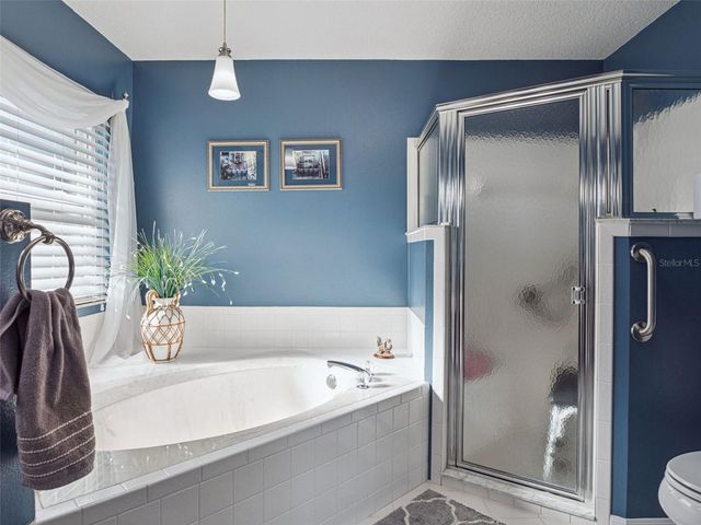 21533 KING HENRY AVENUE, Leesburg, FL 34748