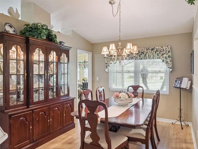 21533 KING HENRY AVENUE, Leesburg, FL 34748