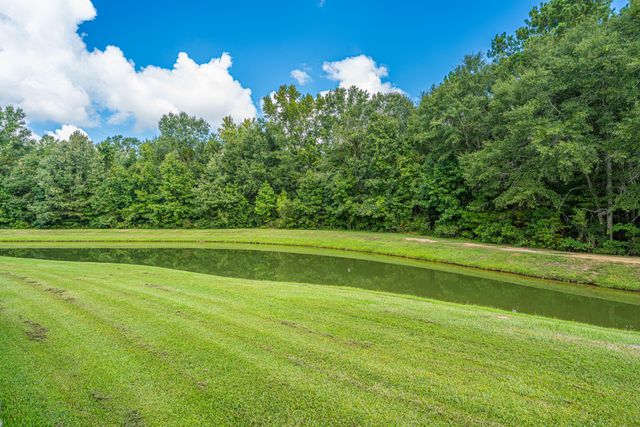 1604 Rising Mist Drive, Summerville, SC 29483