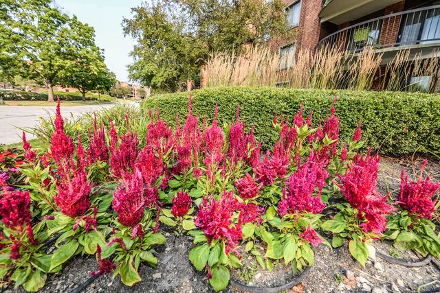 1415 E Central Road 206A, Arlington Heights, IL 60005
