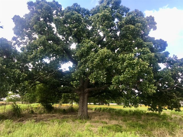 0000 TBD I-20 Frontage, Wills Point, TX 75169