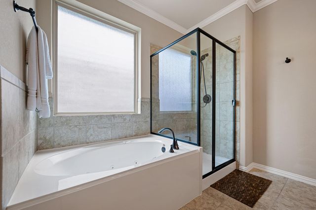 25315 Auburn Bend Drive, Spring, TX 77389