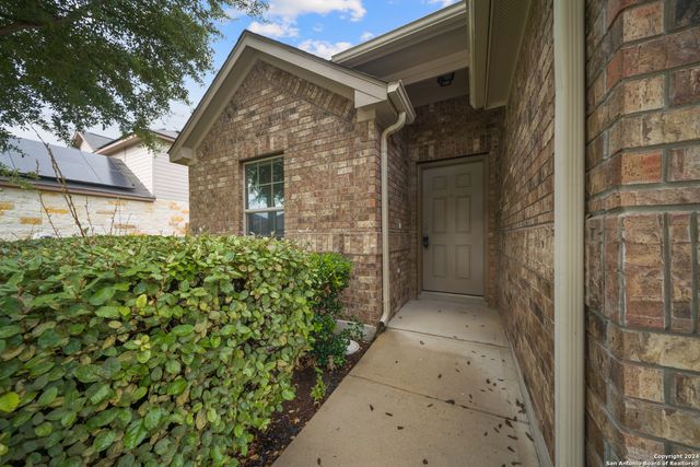 3113 Muntjac, Schertz, TX 78154