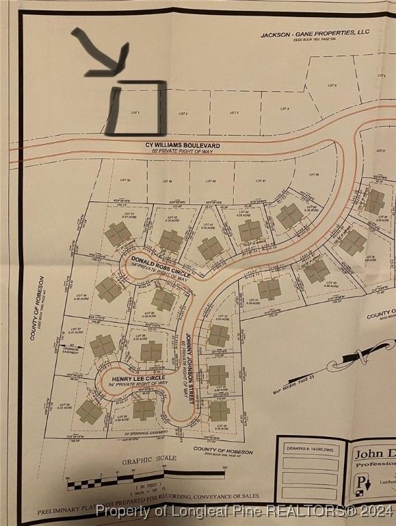 Cy Williams Boulevard, Lumberton, NC 28360 — photo 2