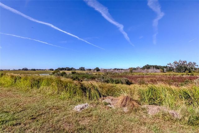 11325 LINDEN DEPOT ROAD, San Antonio, FL 33576