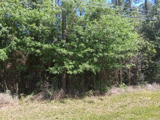 0000 Clearview Drive, Theodore, AL 36582
