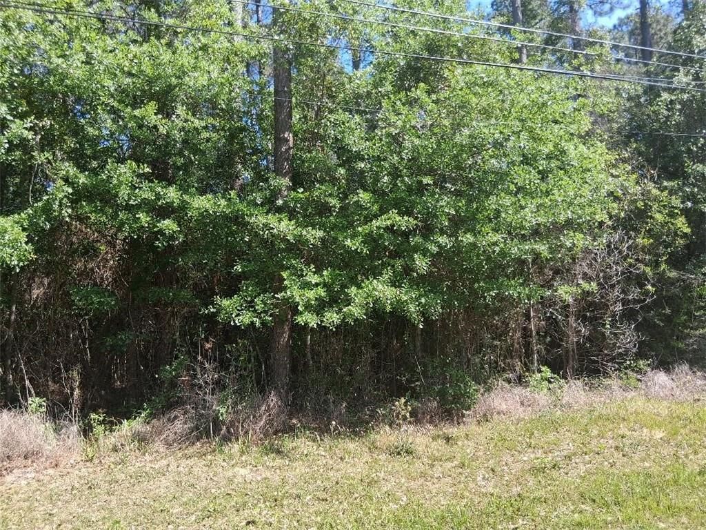 0000 Clearview Drive, Theodore, AL 36582