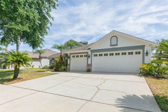 7227 COLONIAL LAKE DRIVE, Riverview, FL 33578
