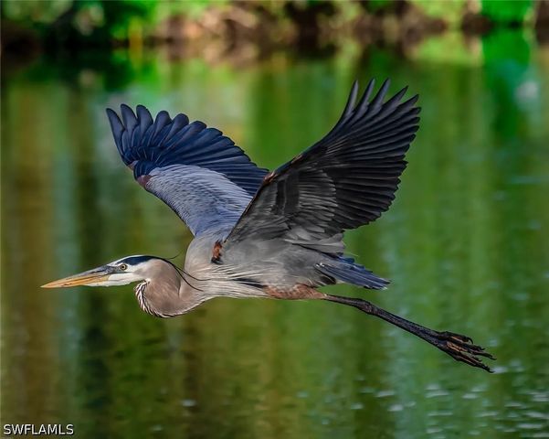 1419 Gormican LN, Naples, FL 34110