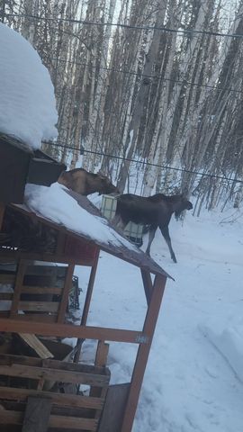 3911 KENSINGTON AVENUE, North Pole, AK 99705