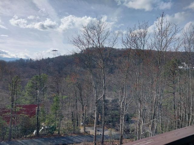 1155 Upper Alpine Way,, Gatlinburg, TN 37738