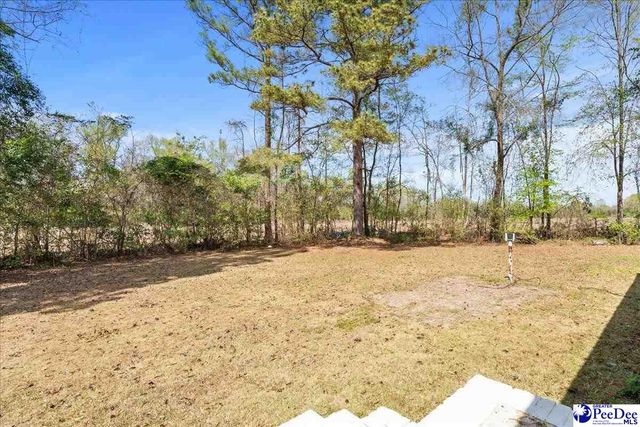 100 Wall Street, Marion, SC 29571