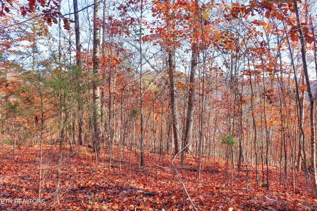 Lot 190 Hickory Way, Lafollette, TN 37766