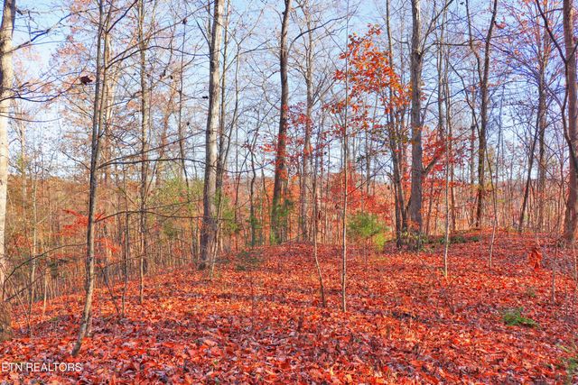 Lot 190 Hickory Way, Lafollette, TN 37766