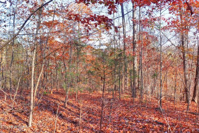 Lot 190 Hickory Way, Lafollette, TN 37766