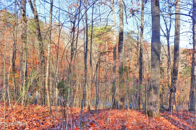 Lot 190 Hickory Way, Lafollette, TN 37766