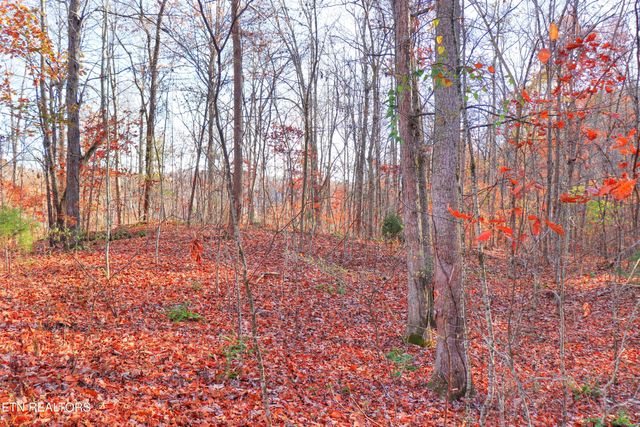 Lot 190 Hickory Way, Lafollette, TN 37766
