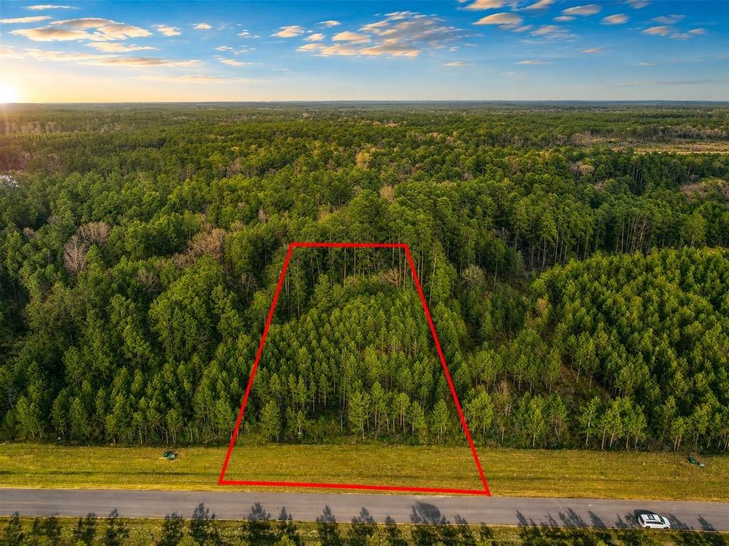 15762 Wood Grove Way, Willis, TX 77378