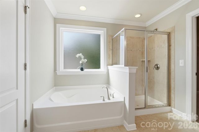 10038 Travertine Trail, Davidson, NC 28036
