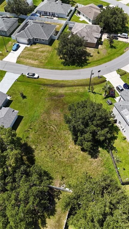 LINNET COURT, Kissimmee, FL 34759