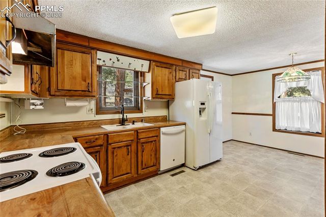 1828 Sioux Road, Florissant, CO 80816